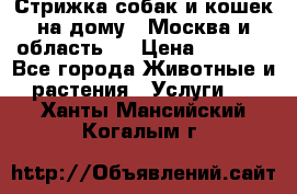 Стрижка собак и кошек на дому.  Москва и область.  › Цена ­ 1 200 - Все города Животные и растения » Услуги   . Ханты-Мансийский,Когалым г.